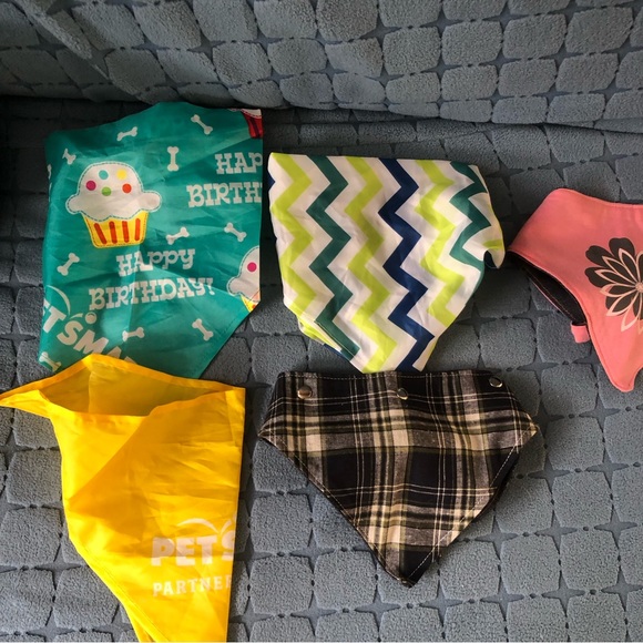 Dog Bandanna Bundle of 5 very cute fun bandannas including birthday one - Picture 7 of 8